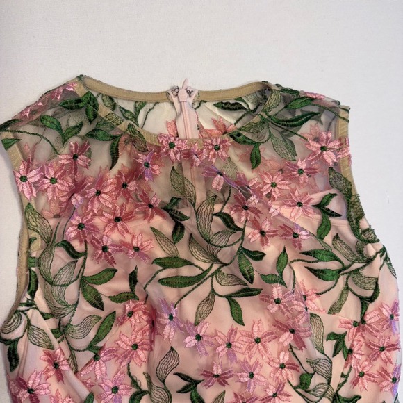 Eva‎ Franco Size 6 Pink Green Floral Embroidered Sleeveless Sheath Dress - Picture 1 of 11